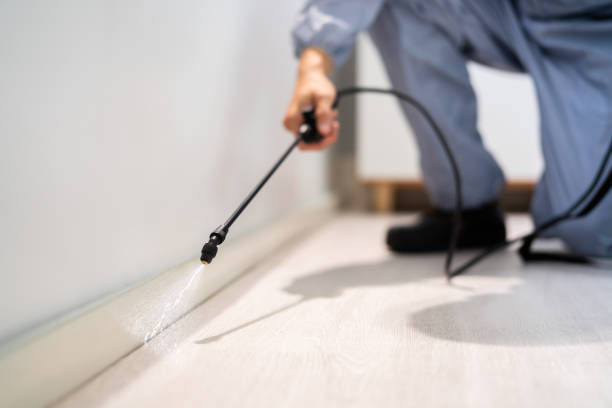Bed Bug Pre-Treatment Preparation Assessment in Santa Rita Ranch
