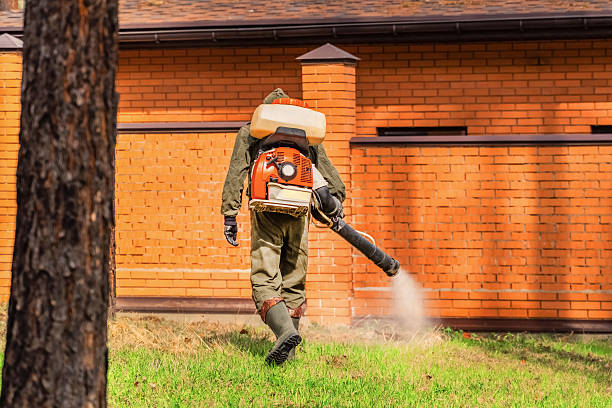 Bed Bug Clearance Verification and Documentation in Santa Rita Ranch